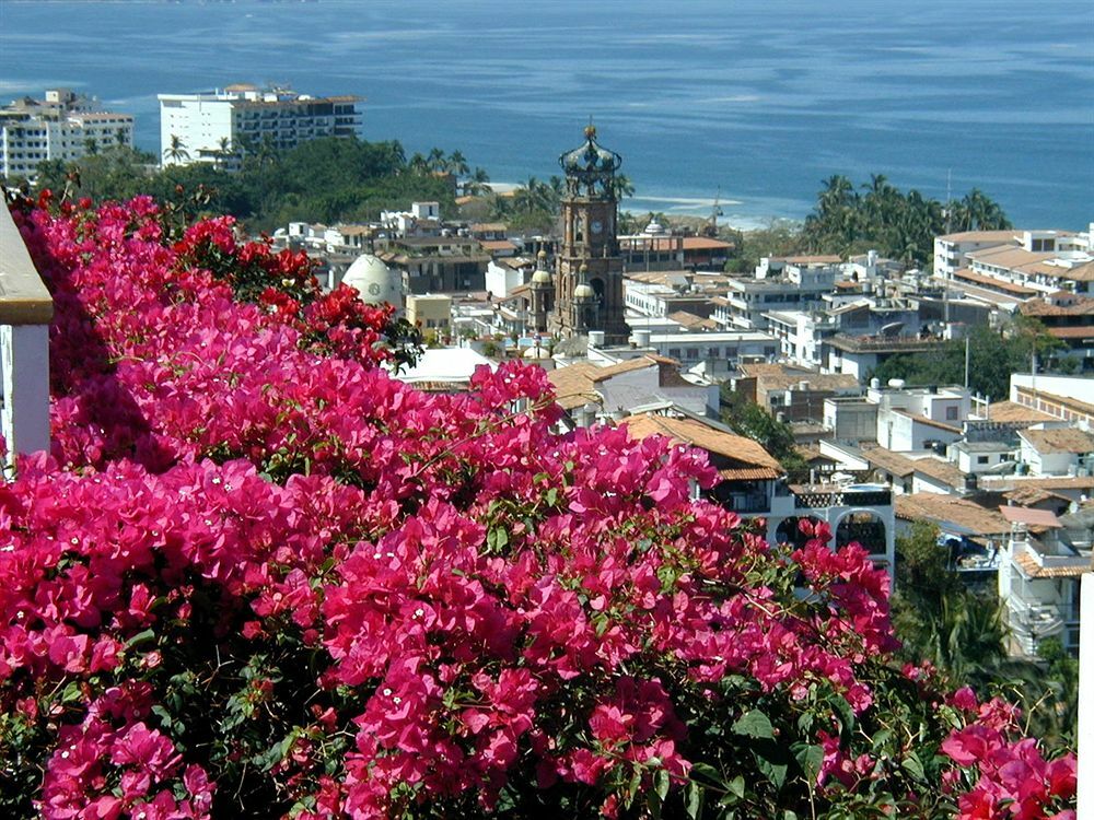 Hotel Suites La Siesta Puerto Vallarta Ngoại thất bức ảnh